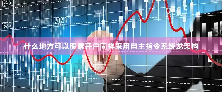 什么地方可以股票开户同样采用自主指令系统龙架构